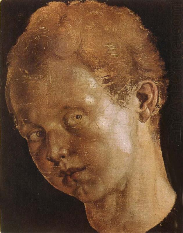 Albrecht Durer Head of a boy facing toward the left china oil painting image